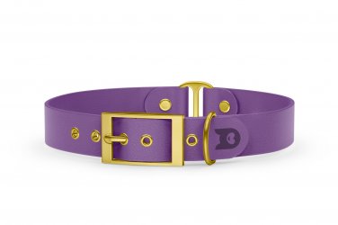 Dog Collar Duo: Purpur & Purpur with Gold