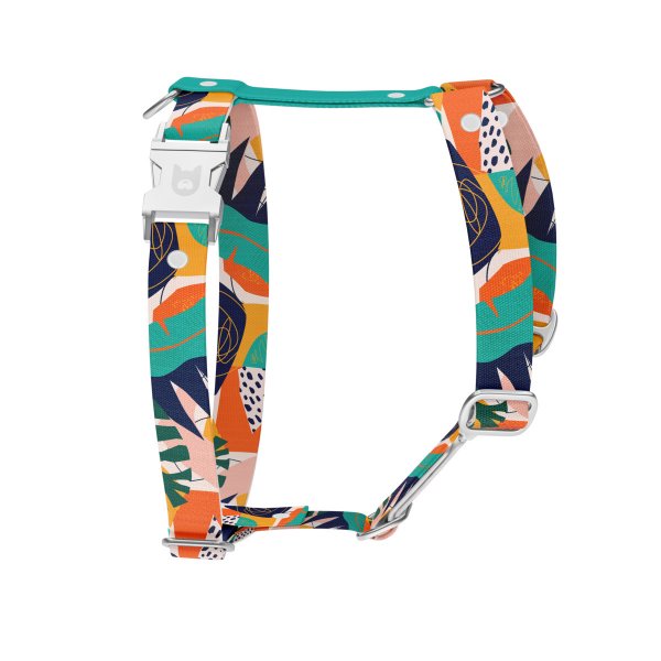 Dog harness Collection Teal