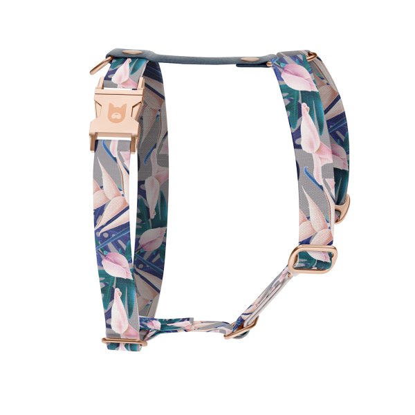Dog harness Collection Tropical