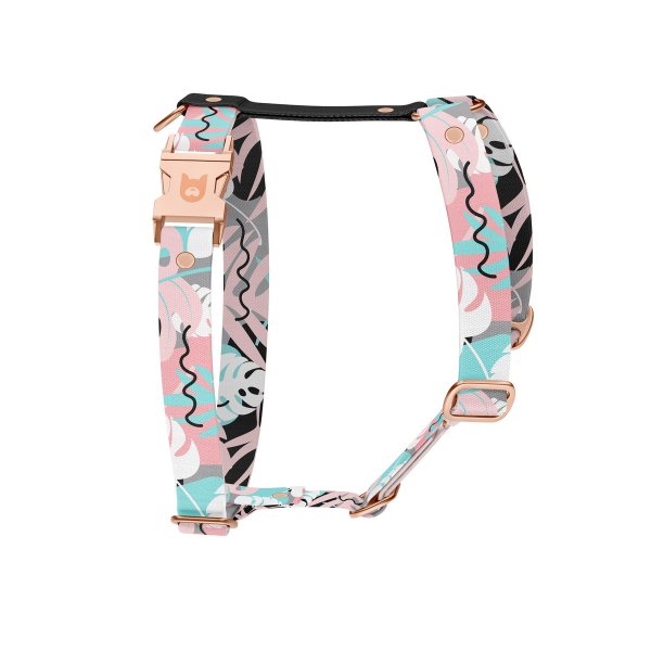 Dog harness Collection Uno
