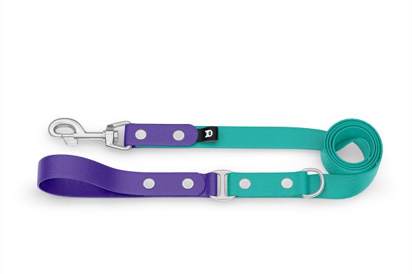 Dog Leash Duo: Purple & Pastel green with Silver components