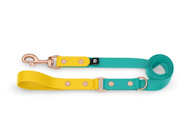 Dog Leash Duo: Yellow & Pastel green with Rosegold components