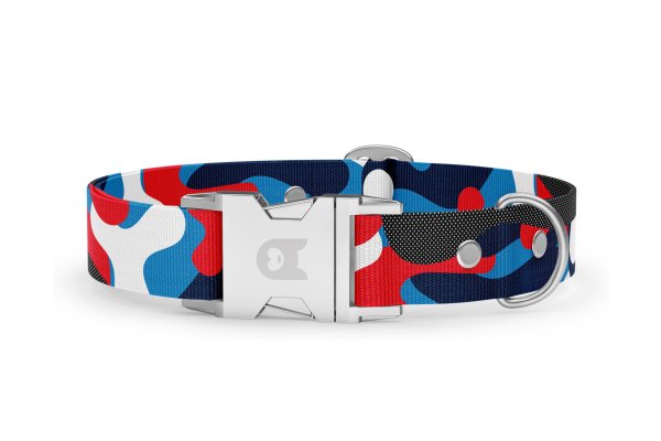 Dog collar Basic Collection Camo