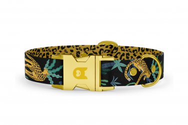 Dog collar Basic Collection Jaguar