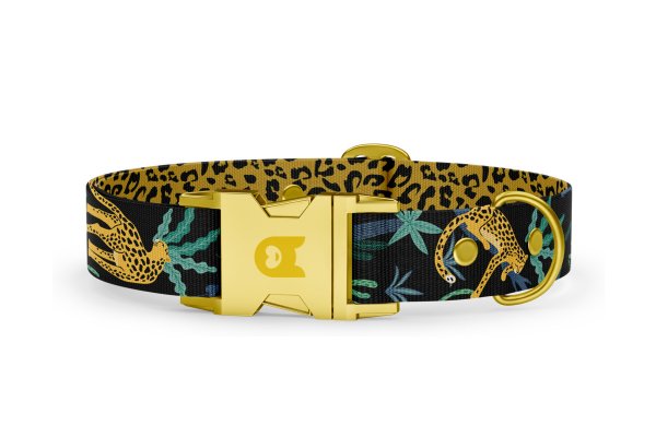 Dog collar Basic Collection Jaguar