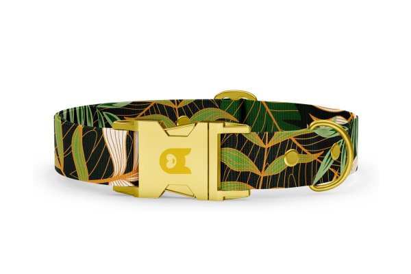 Dog collar Basic Collection Jungle