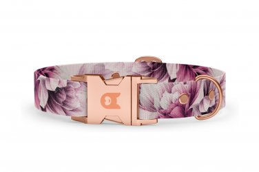 Dog collar Basic Collection Magnolia