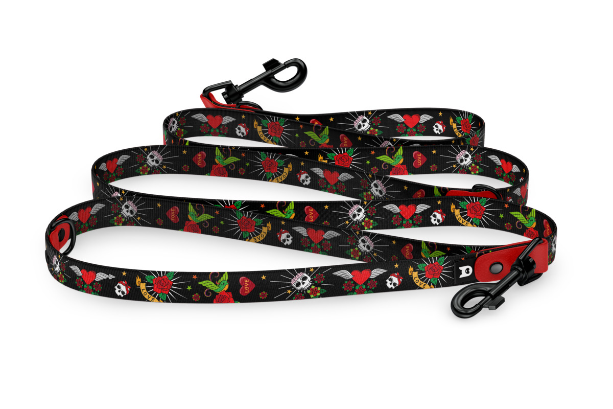 Dog leash Reduce Collection Rebel