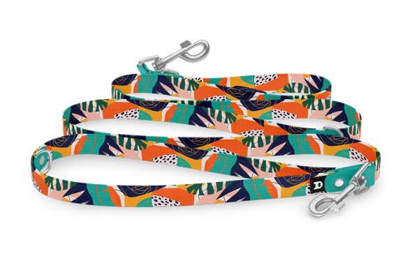 Dog leash Reduce Collection Teal